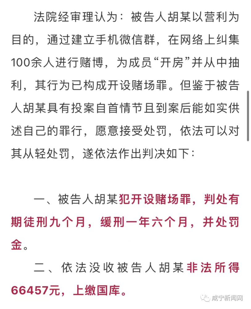 新澳门资料免费更新,关于新澳门资料免费更新的探讨与警示——警惕违法犯罪问题