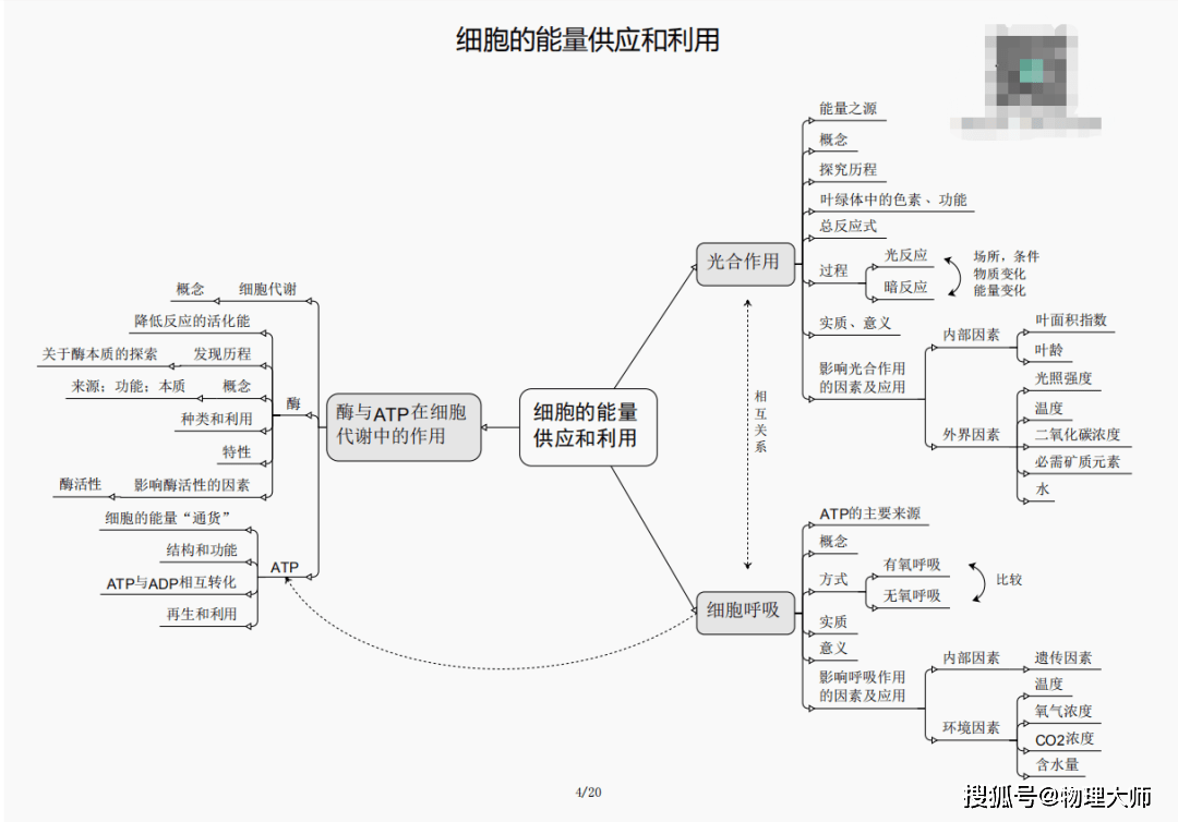 白小姐三肖三期必出一期开奖哩哩,警惕白小姐三肖三期必出一期开奖背后的风险与犯罪问题