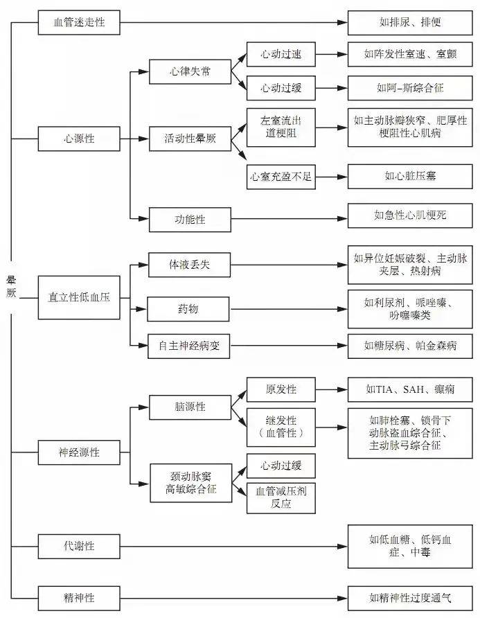 777778888王中王最新,探索数字背后的秘密，揭秘王中王最新动向与神秘数字777778888