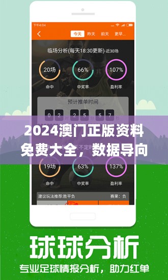 2024新奥正版资料免费提供,2024新奥正版资料免费提供的深度解析