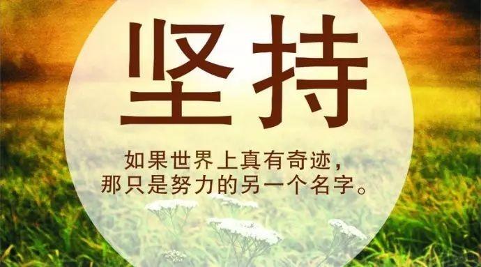 澳门彩管家婆一句话,澳门彩管家婆一句话的智慧与启示